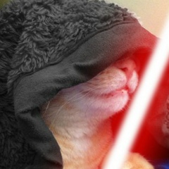 Павел Сацевич, 07.07.1987, Москва