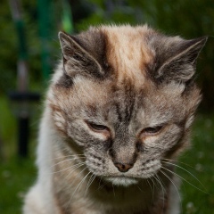 Рахман Ахмаров, 06.01.1986, Грозный