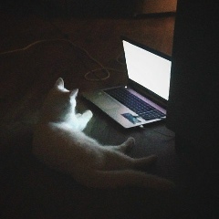 Ulan Ulik, 06.10, Petaling Jaya