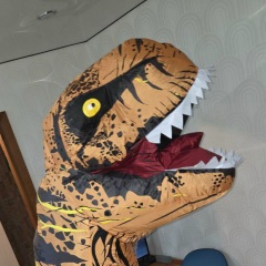 Леся Пестрякова, 20.10.1991, Новосибирск