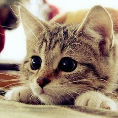 Андрей Беляков, 06.06.2002, Кокшетау