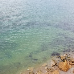 Виктор Чернов, 17.03.1981, Санкт-Петербург