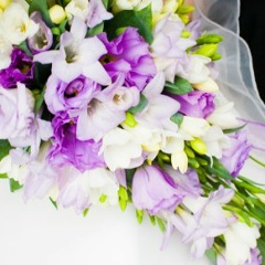 Мария Трубникова, Санкт-Петербург