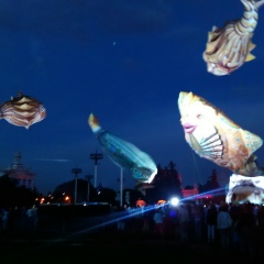 Елена Саченко, 31.03.1986, Москва