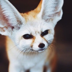 Любовь Демидова, 19.02, Москва