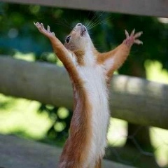 Анна Бабикова, 10.04, Москва