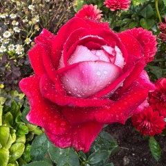 Людмила Арбузова, 30.05.1983, Москва