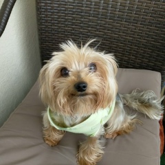 Юлия Колесникова, 18.12, Санкт-Петербург