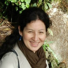 Дана Волчек, Москва