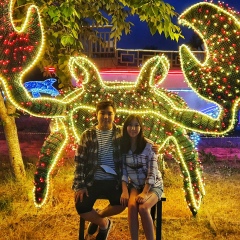 Дмитрий Цой, 27.06.1995, Ташкент