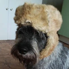 Анатолий Черныш, 25.09, Санкт-Петербург