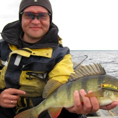 Михаил Баханов, 19.11.1977, Санкт-Петербург