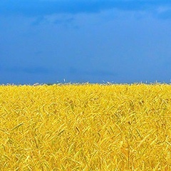 Александр Суворов, 04.07.1988, Киев