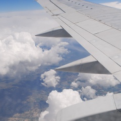 Андрей Шкаев, 19.02, Запорожье