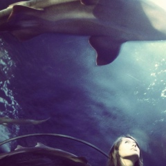 Марина Соколова