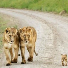 Анастасия Романова, 29.08, Ставрополь