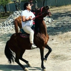 Yashka Kaifarik, 28.02, Алматы