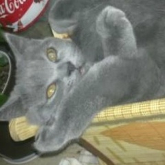 Маргарита Макарова, 08.11.2005