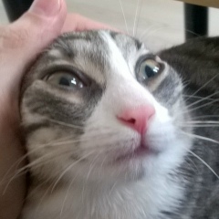 Денис Ечин, 17.04.1933