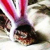 Зара Кобилова, 08.11.1991, Санкт-Петербург