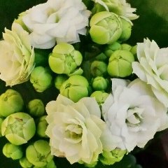 Татьяна Пашкович, 15.04