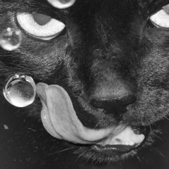 Харон Аидов, 20.01.1981