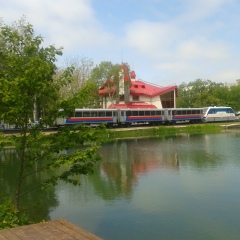 Светлана Владимирова, Санкт-Петербург