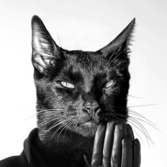 Ruslan Danland, 01.01, Svendborg