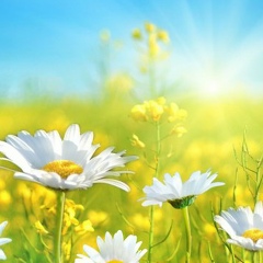 Александр Музычка, 28.06