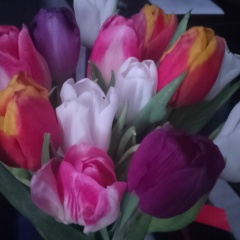 Ольга Епишина, Пермь