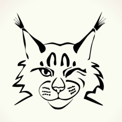 Виталий Полтарак, Санкт-Петербург