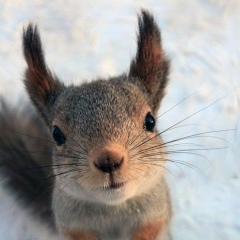 Алина Касымова, 09.06, Алматы