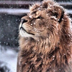 Мохади Гилаев, 17.09, Грозный