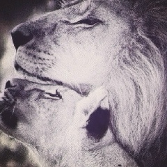 Magzhan Rahmetullaev