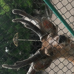 Женис Хожанов, 08.05.1983, Алматы