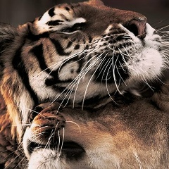 Людмила Иванова, 20.01, Астана