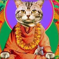 Лилия Шницер, 18.05, Санкт-Петербург