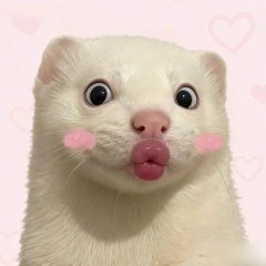 Кими Ким, 11.03.1991