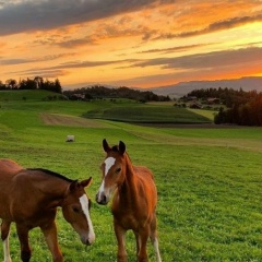 Кымбат Аманжолова, Костанай