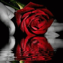 Toufik Zizo, 12.01.1987, Sétif