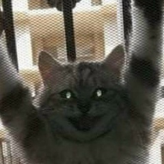 Toki Tok, 16.04.1997, Астана