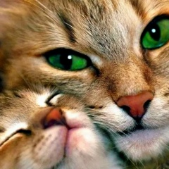 Нина Крутицкая, 29.03, Санкт-Петербург