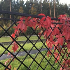 Екатерина Михайлова, Екатеринбург