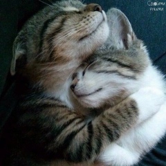 Ирина Князюк, 27.08, Анапа