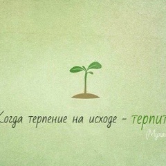 Саид Из гухоя, Ростов-на-Дону