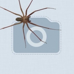 Dmitry hooligan_, Москва