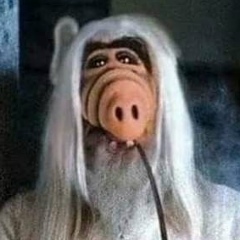 Евгений Ковалёв, 24.12.1988, Санкт-Петербург