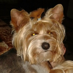 Людася Хомич, 09.07.1987, Днепр (Днепропетровск)