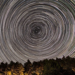 Роман Федотов, Санкт-Петербург