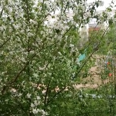 Бауыржан Мусапаров, 17.01, Кызылорда